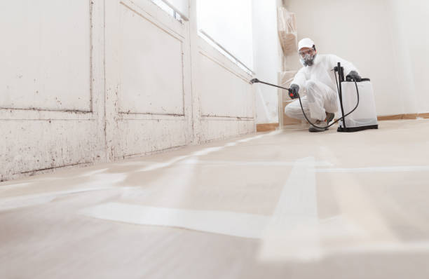 24/7 Emergency Basement Mold Remediation experts in Coalport, PA
